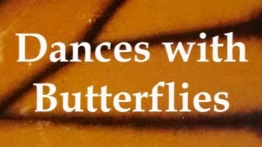 与蝴蝶共舞（Dances with Butterflies VR）
