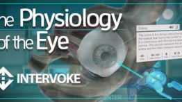眼睛的生理学（The Physiology of the Eye）