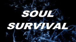 灵魂求生VR（Soul Survival VR）