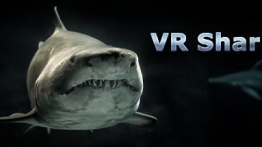 VR鲨鱼（VR Shark）