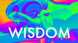 智慧VR（Wisdom）