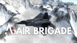 空军旅（Air Brigade）