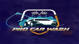 职业洗车师(PRO Car Wash)