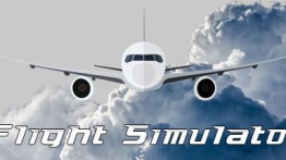 飞行模拟(Flight Simulator: VR)
