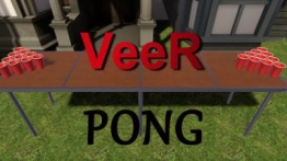 韦尔乒乓(VeeR Pong